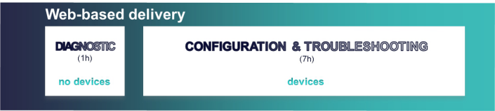 web-based-delivery web-based-delivery